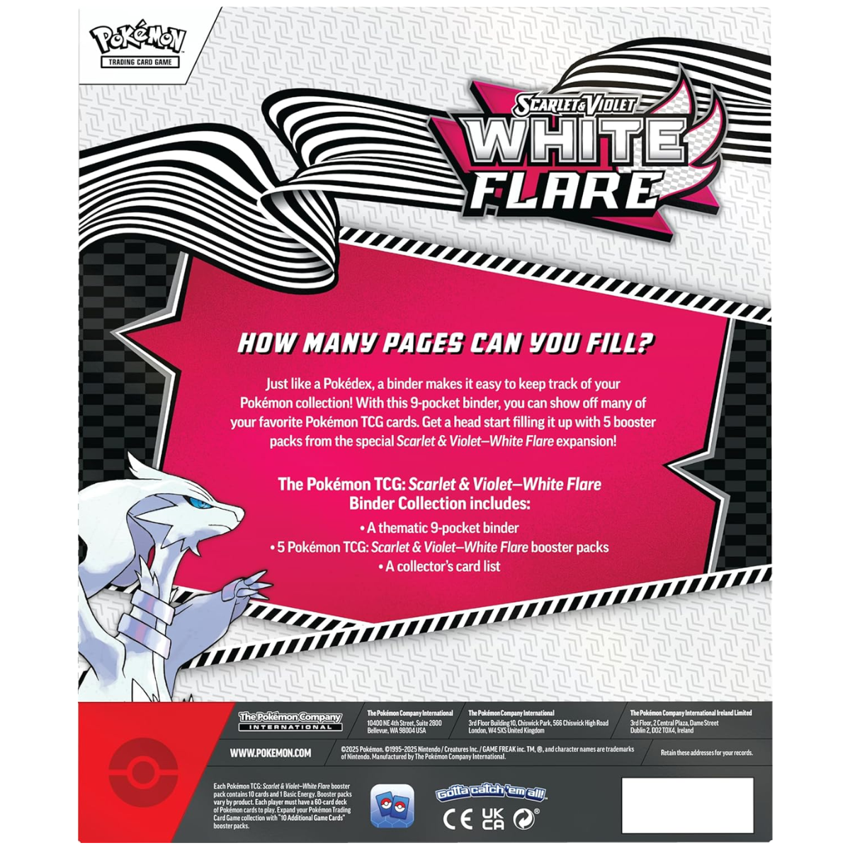 Black Bolt & White Flare Binder Collection | POKÉMON | English