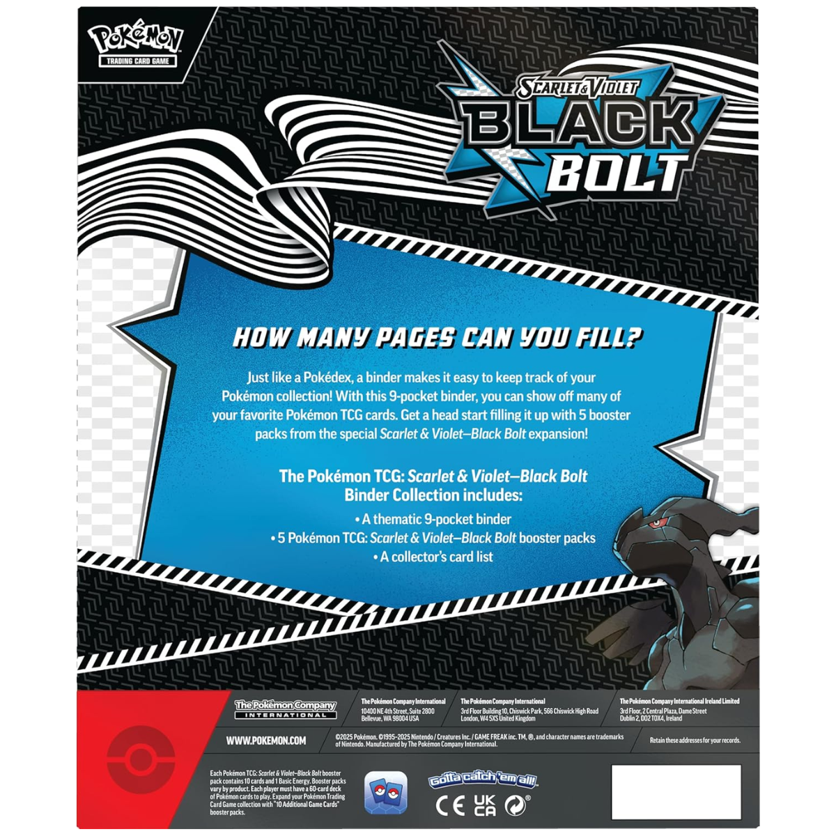 Black Bolt & White Flare Binder Collection | POKÉMON | English