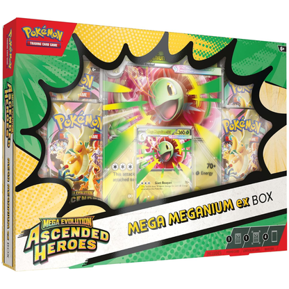 Ascended Heroes: Mega Meganium/Emboar/Feraligatr ex Box | POKÉMON | English
